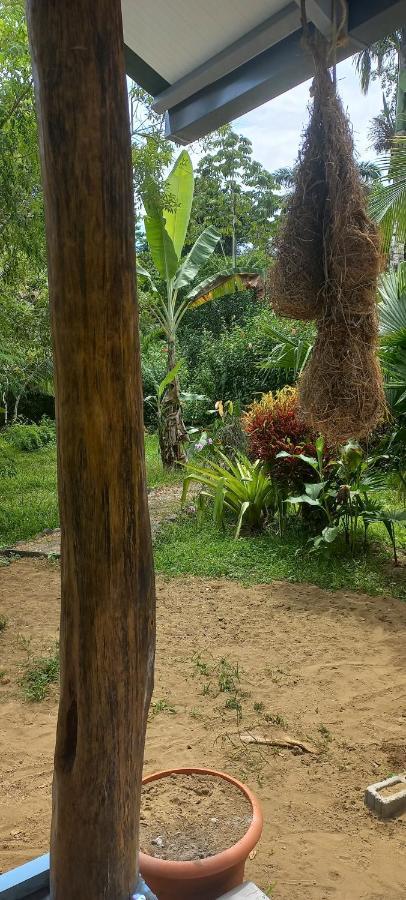 Villa Casa Katharina Cahuita Exterior foto